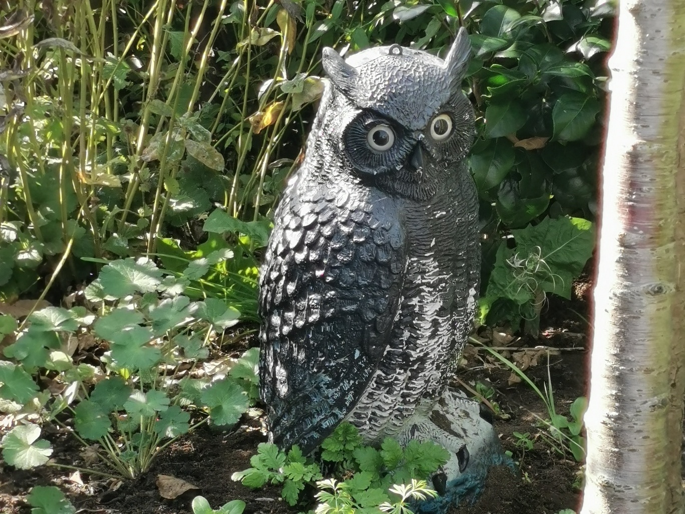 Garden owl ornament